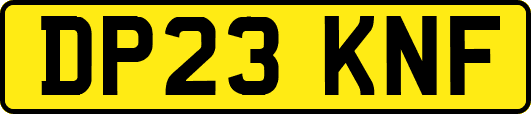 DP23KNF