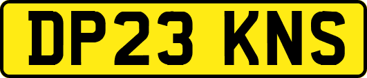 DP23KNS