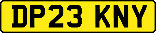 DP23KNY
