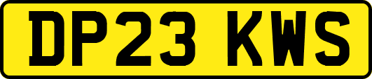 DP23KWS