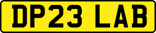 DP23LAB