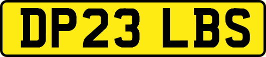 DP23LBS