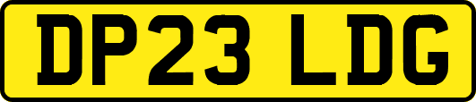 DP23LDG