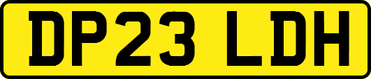 DP23LDH