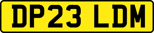 DP23LDM
