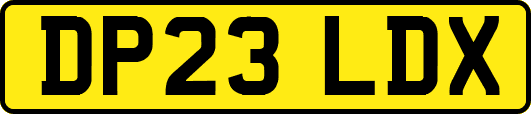 DP23LDX