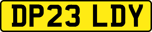 DP23LDY