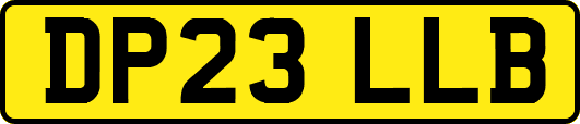 DP23LLB