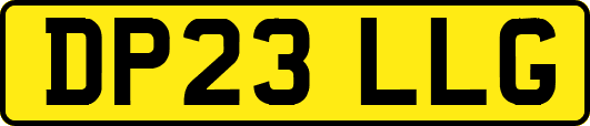 DP23LLG