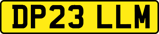 DP23LLM