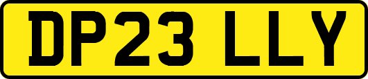 DP23LLY