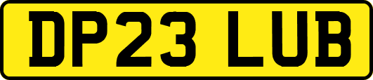 DP23LUB