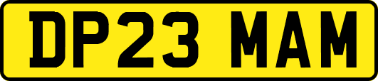 DP23MAM