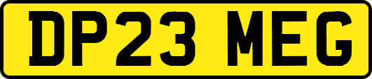 DP23MEG