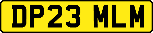 DP23MLM