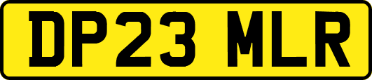 DP23MLR