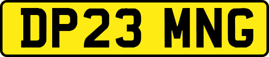 DP23MNG