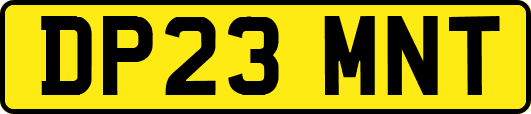 DP23MNT