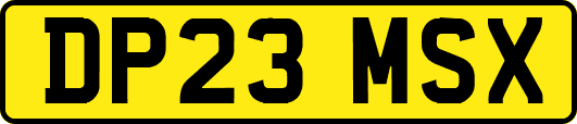DP23MSX