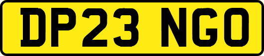 DP23NGO