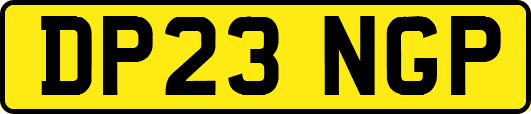 DP23NGP