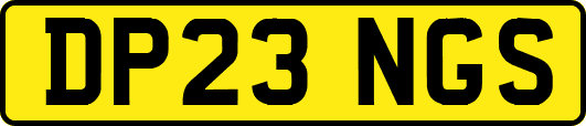 DP23NGS