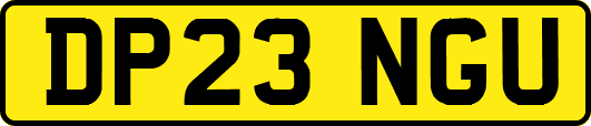 DP23NGU