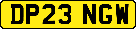 DP23NGW