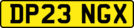 DP23NGX