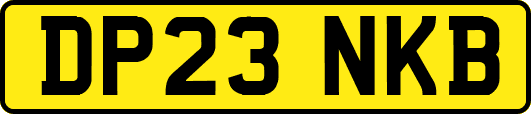 DP23NKB