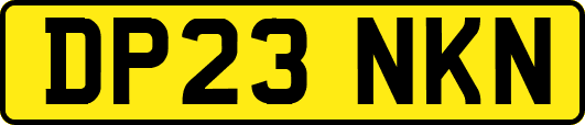 DP23NKN