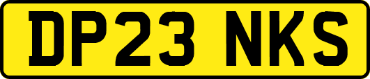 DP23NKS
