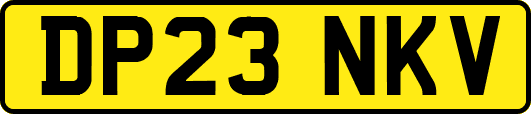 DP23NKV