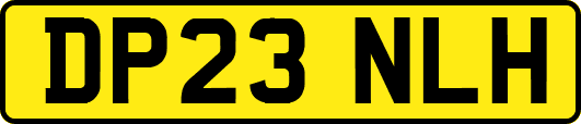 DP23NLH