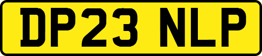 DP23NLP