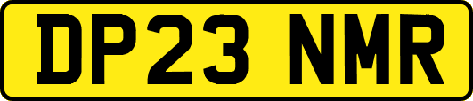 DP23NMR