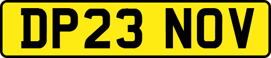 DP23NOV