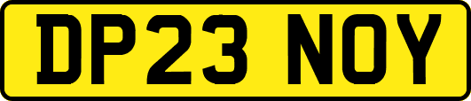 DP23NOY