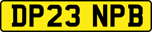DP23NPB