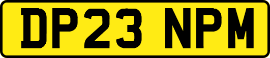DP23NPM