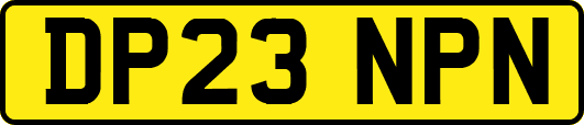 DP23NPN