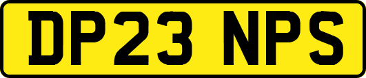 DP23NPS