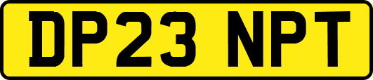 DP23NPT