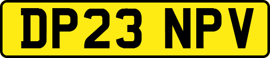 DP23NPV