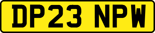 DP23NPW