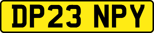 DP23NPY