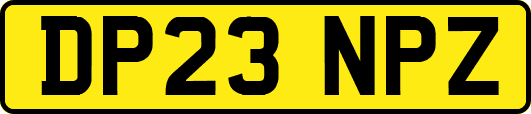 DP23NPZ