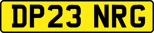 DP23NRG