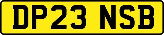 DP23NSB