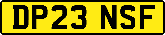 DP23NSF